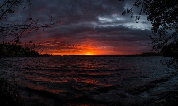 Кращі роботи фотоконкурсу від National Geographic. ФОТО