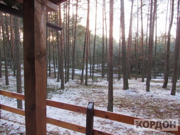 Показали, як на Волині виглядає сучасний будинок для лісника