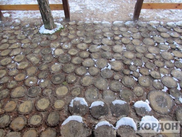 Показали, як на Волині виглядає сучасний будинок для лісника