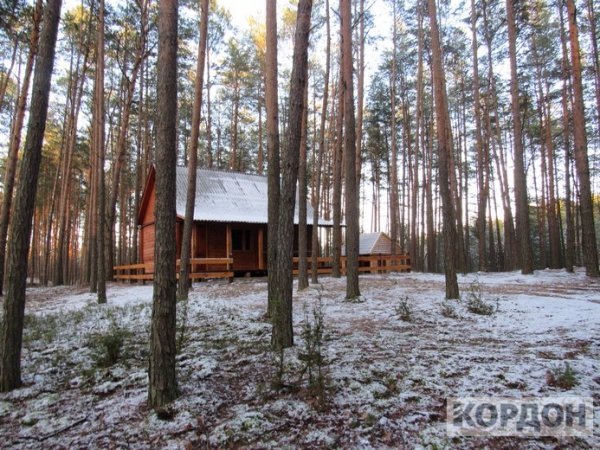 Показали, як на Волині виглядає сучасний будинок для лісника