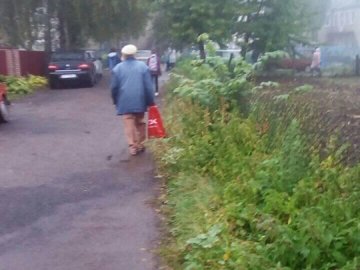 Замість чагарників: у райцентрі на Волині просять облаштувати доріжку біля дитсадка