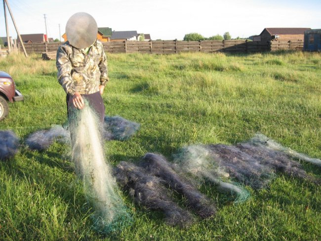 За добу браконьєри на Волині завдали шкоди на 30 тисяч гривень