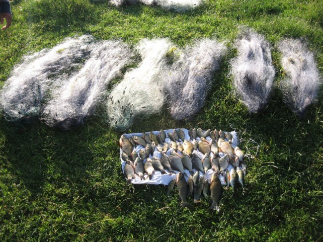 За добу браконьєри на Волині завдали шкоди на 30 тисяч гривень