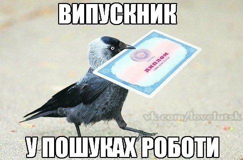 Як студенти СНУ жартують над університетом і навчанням. ФОТО