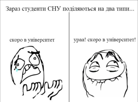 Як студенти СНУ жартують над університетом і навчанням. ФОТО