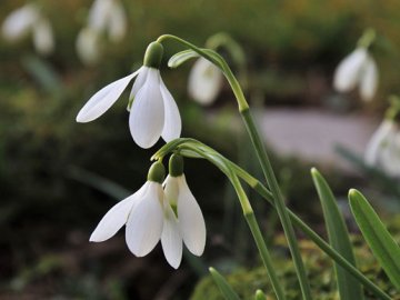 Погода у Луцьку на завтра, 11 березня