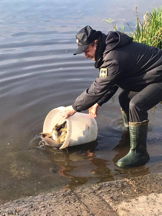 У річку Турію випустили понад тонну риби. ФОТО