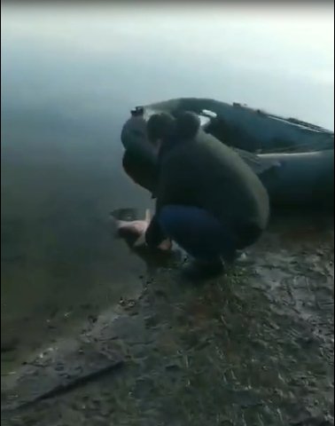 Рибалка «здав» браконьєра, який поставив сітку на заплаві річки Стир