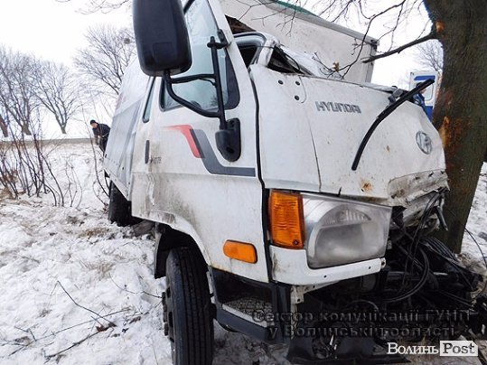 На трасі Львів-Луцьк вантажівка врізалася в дерево. ФОТО