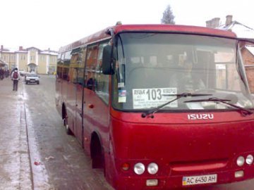 Мирка пояснив, куди можна оскаржувати подорожчання проїзду