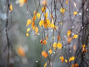 Погода у Луцьку на неділю, 25 листопада 