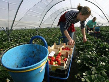Польща запроваджує податок для іноземців-заробітчан
