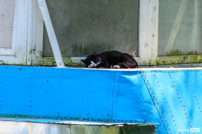 Літній день у центральному парку Луцька. ФОТОРЕПОРТАЖ