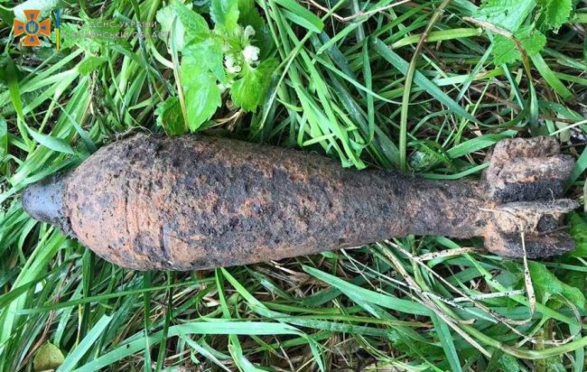 Під час збирання чорниць у лісі волиняни натрапили на небезпечні знахідки