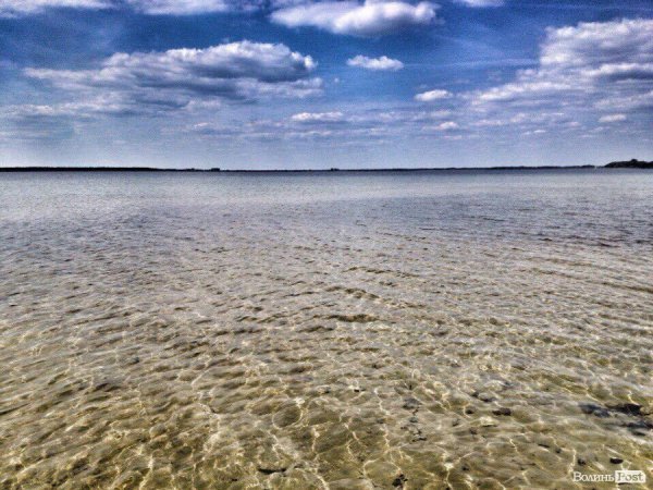 Молодіжні лідери міста Луцька розважалися на Світязі. ФОТО