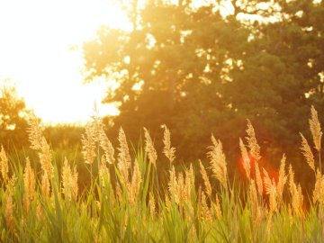 Якою буде погода на Волині та у Луцьку зокрема у п'ятницю, 30 липня 