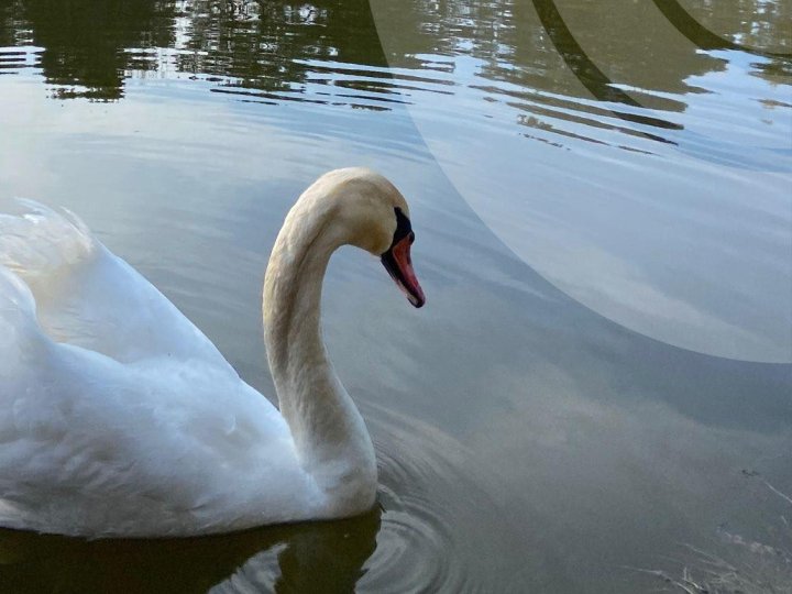 Погода в Луцьку та Волинській області на завтра, 1 квітня