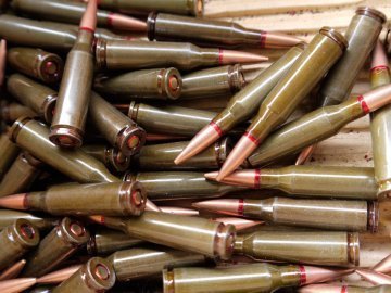 У волинянина вилучили зброю та набої