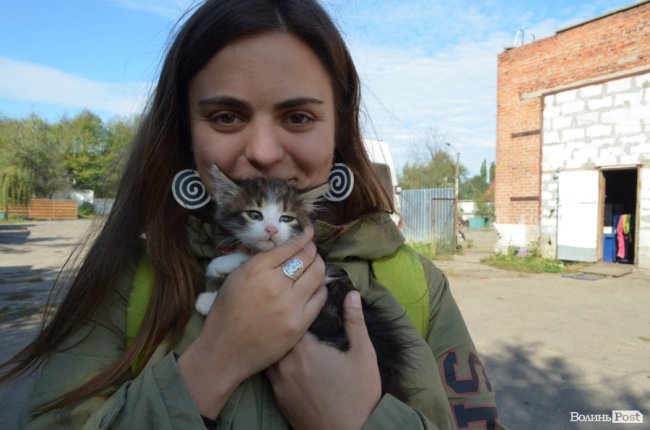 Дім для Річарда: у луцькій «Ласці» живе пес-старожил