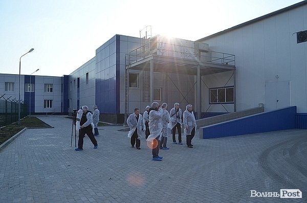 Чи їстимуть волинську курятину за  кордоном. ФОТО