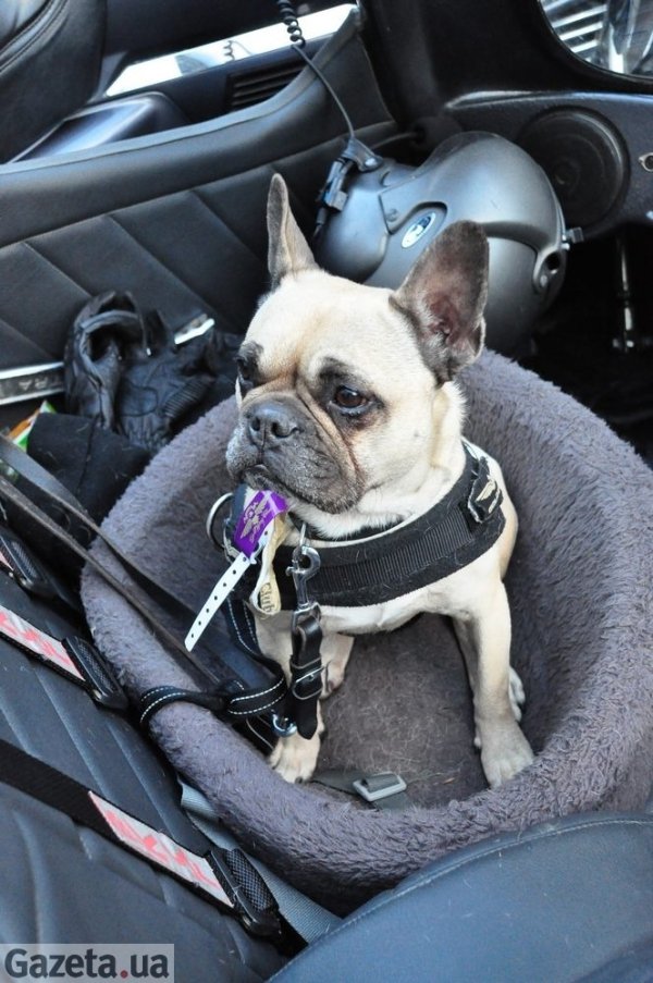 Байкерський «парад вогнів» у Львові. ФОТО. ВІДЕО 