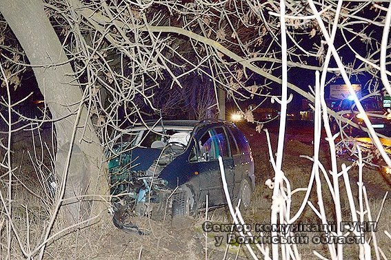 У Нововолинську легковик врізався в дерево: водія госпіталізували. ФОТО