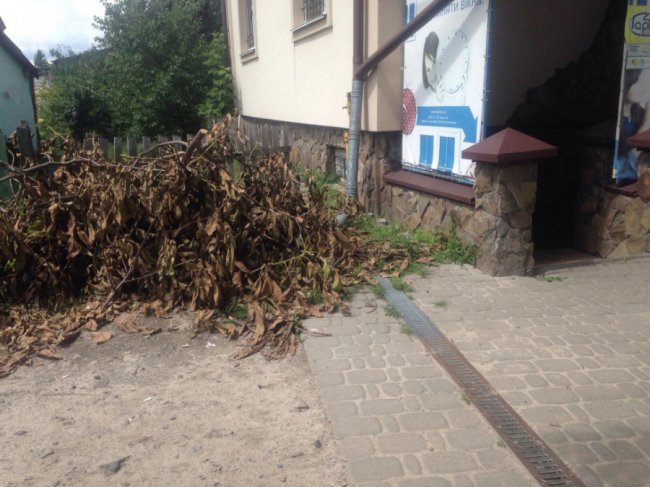 Вандалізм на кістках: у Ківерцях комунальників звинувачують у знищенні кладовища. ФОТО