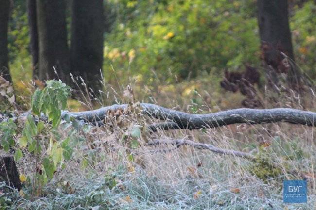 Атмосферні світлини морозного ранку у волинському місті. ФОТО
