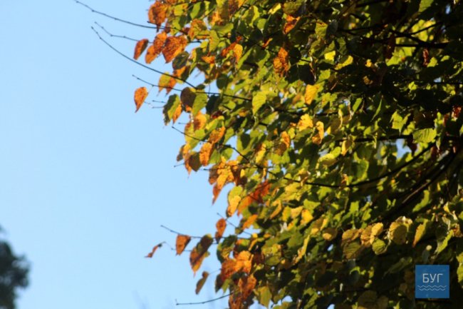 Атмосферні світлини морозного ранку у волинському місті. ФОТО