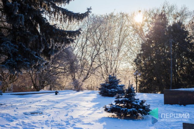 Мерехтливий сніг і кришталевий іній: Луцьк опинився у морозному полоні. ФОТО