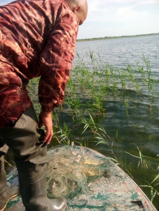 На озері Світязь знайшли браконьєрські сітки з рибою. ФОТО