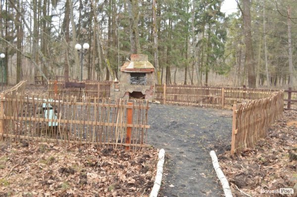 «Межигір'я» по-волинськи: екскурсія лісовими маєтками