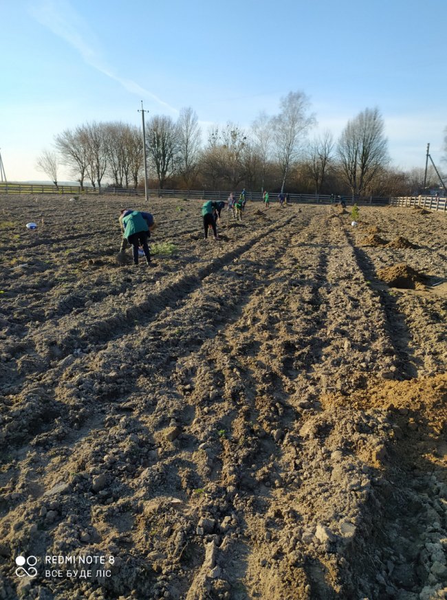У селі на Волині школярі створили дендропарк. ФОТО