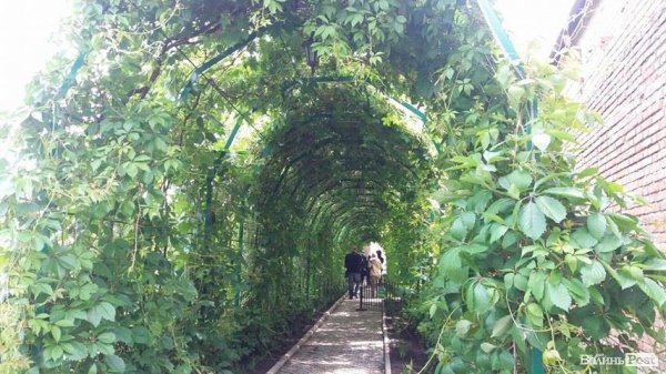 Як волинських журналістів вчили стріляти. ФОТО