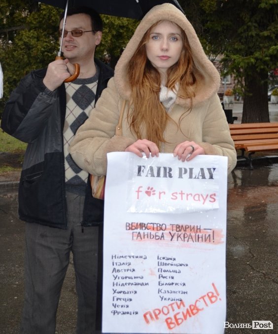 У Луцьку під дощем мітингувати захисники тварин