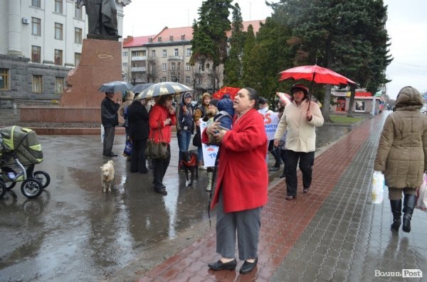 У Луцьку під дощем мітингувати захисники тварин