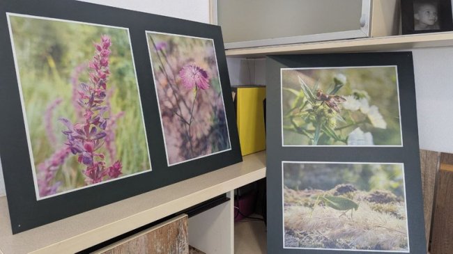 На війні зняв понад 5000 макросвітлин: дружина безвісти зниклого бійця з Волині організувала виставку його фото