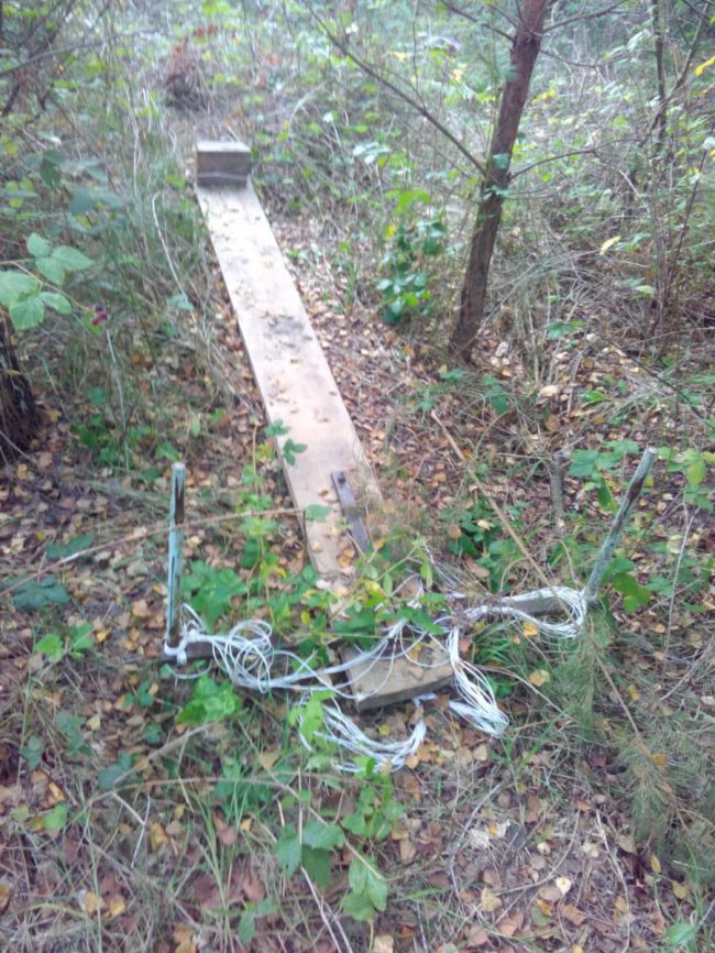 Луцькі прикордонники в лісі знайшли чималу партію сигарет