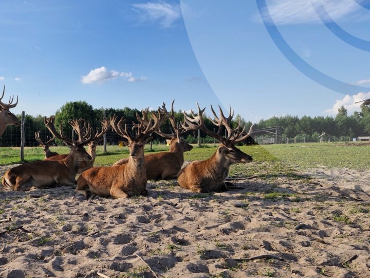 Якою буде погода у Луцьку та на Волині у понеділок, 4 серпня