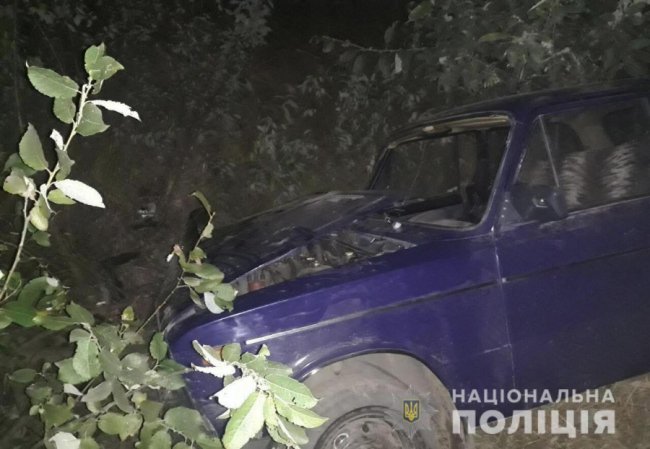 На Волині легковик злетів дороги та врізався у дерево. ФОТО