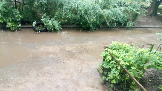 У луцькому дворі просять заборонити рух автівок