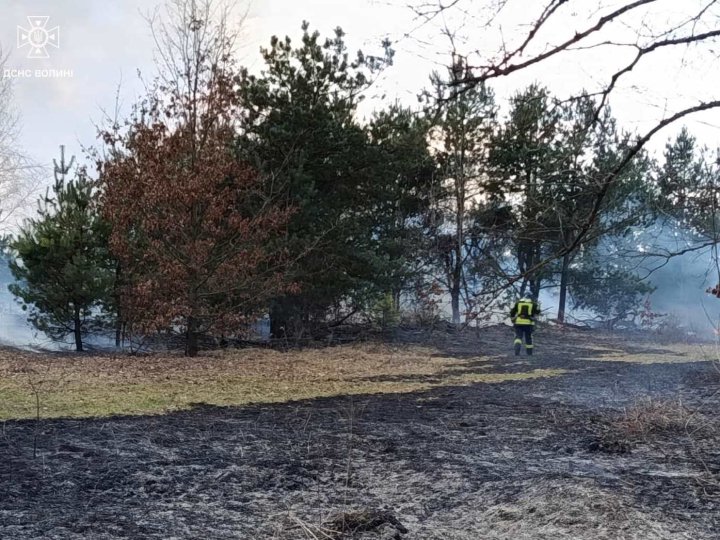 Через «людський фактор» на Волині горіли 7 гектарів