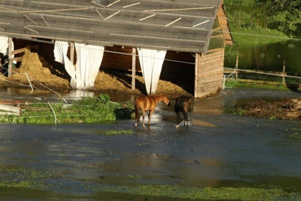 Потоп у Чехії. ФОТО. ВІДЕО
