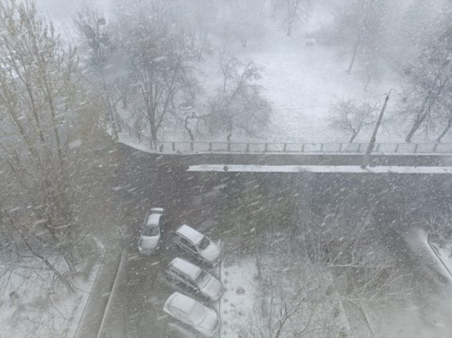 Від неочікуваного снігопаду до сонячної погоди: квітень продовжує дивувати волинян. ФОТО