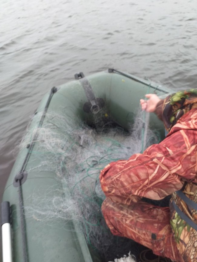 На Волині «на гарячому» спіймали браконьєра, який сіткою ловив рибу