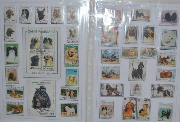 Виставка поштових марок «Свійські тварини» у Луцьку. ФОТО