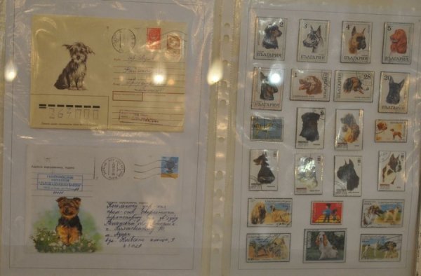 Виставка поштових марок «Свійські тварини» у Луцьку. ФОТО