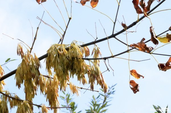 Фотопогляд: центральний парк Луцька