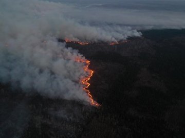 Нацгвардія розпочала антидиверсійну операцію через лісові пожежі в країні