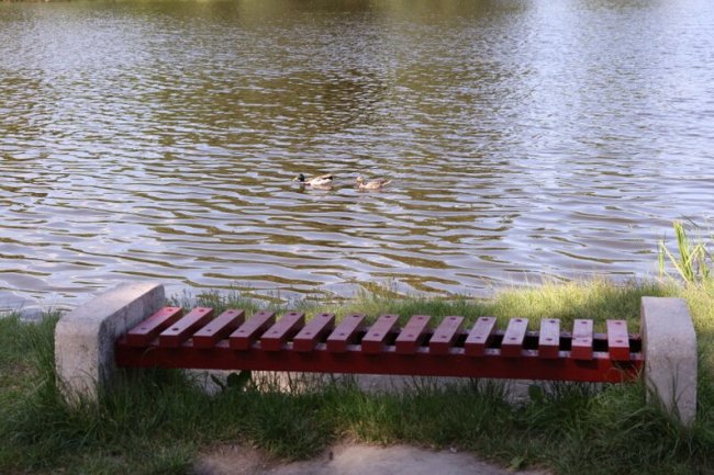 Купальний сезон розпочнеться з 1 червня: у Луцьку перевірили комунальні пляжі